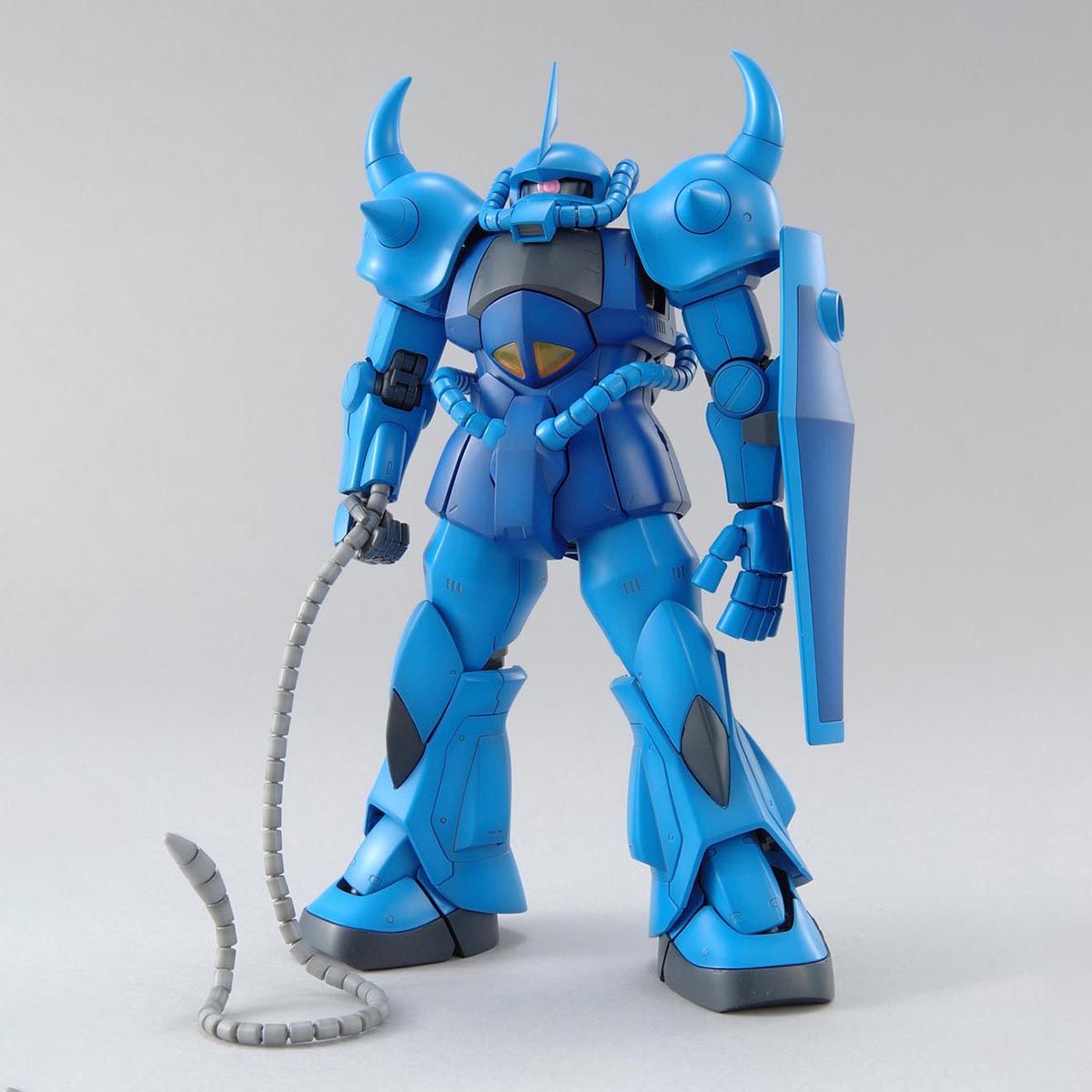 Assembled MG Gouf ver. 2.0 model kit front view
