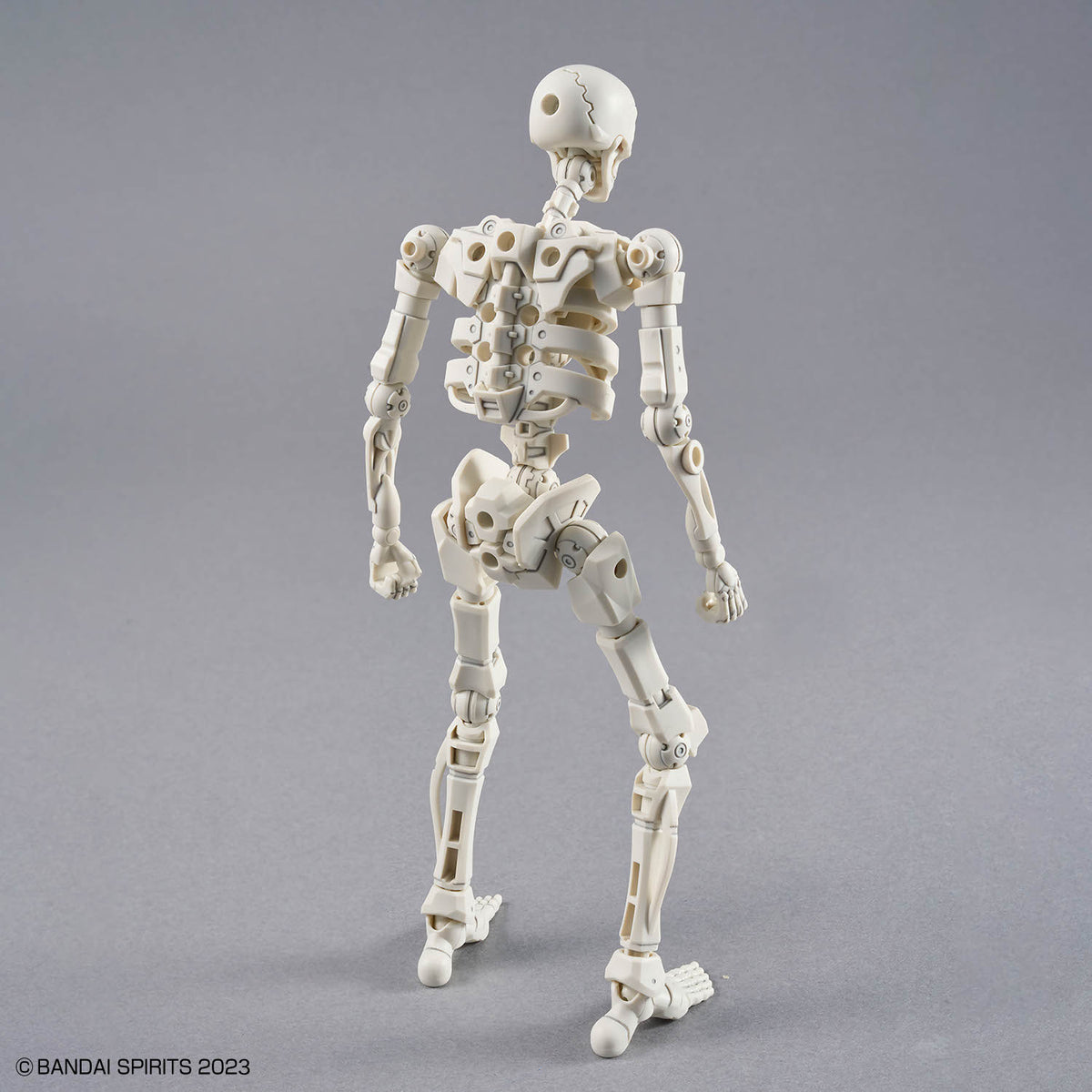 Assembled 30MF DLROskeleton model kit rear view
