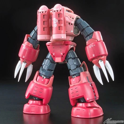 RG Char's Z'Gok Gundam model kit back view