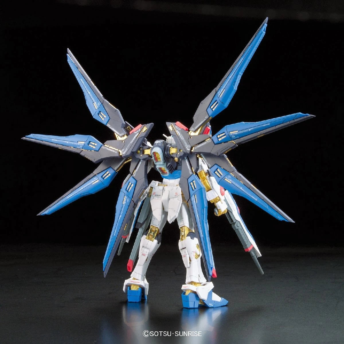 RG Strike Freedom Gundam model kit back view